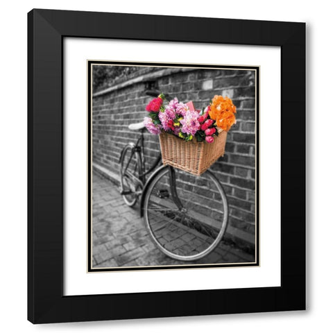 Basket of Flowers II Black Modern Wood Framed Art Print with Double Matting by Frank, Assaf