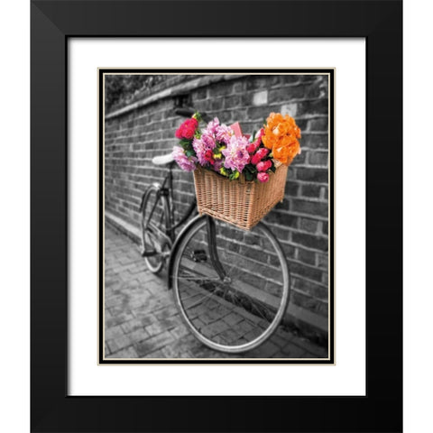 Basket of Flowers II Black Modern Wood Framed Art Print with Double Matting by Frank, Assaf