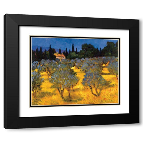 Les Olives en Printemps Black Modern Wood Framed Art Print with Double Matting by Craig, Philip