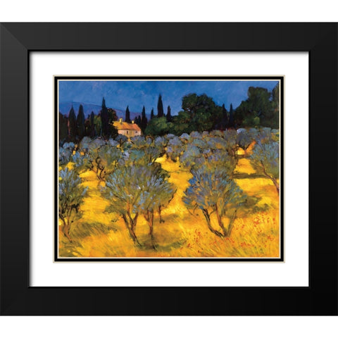 Les Olives en Printemps Black Modern Wood Framed Art Print with Double Matting by Craig, Philip