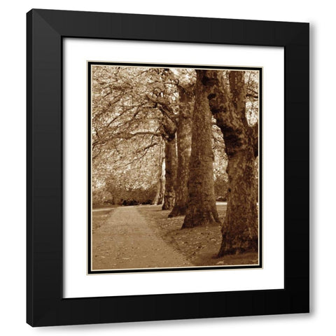 Autumn Stroll I Black Modern Wood Framed Art Print with Double Matting by Maihara/Watt, Jeff/Boyce