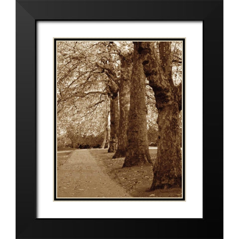 Autumn Stroll I Black Modern Wood Framed Art Print with Double Matting by Maihara/Watt, Jeff/Boyce