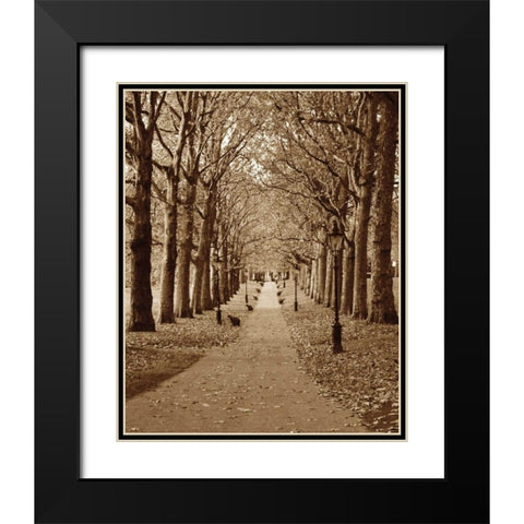 Autumn Stroll II Black Modern Wood Framed Art Print with Double Matting by Maihara/Watt, Jeff/Boyce