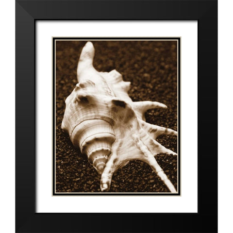 Sea Gallery I Black Modern Wood Framed Art Print with Double Matting by Maihara/Watt, Jeff/Boyce