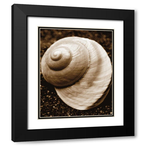 Sea Gallery II Black Modern Wood Framed Art Print with Double Matting by Maihara/Watt, Jeff/Boyce