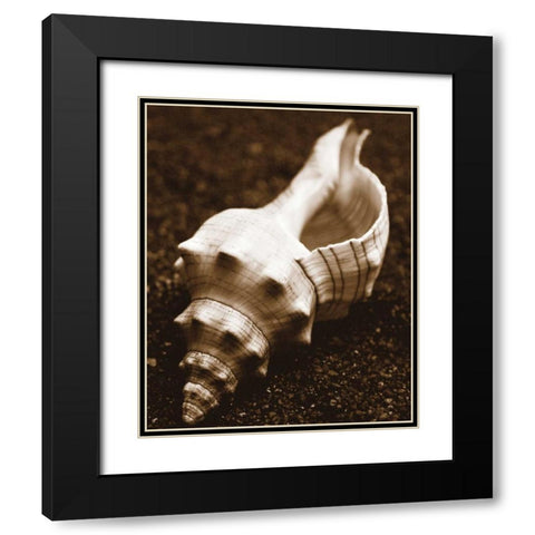 Sea Gallery III Black Modern Wood Framed Art Print with Double Matting by Maihara/Watt, Jeff/Boyce