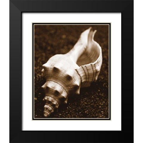 Sea Gallery III Black Modern Wood Framed Art Print with Double Matting by Maihara/Watt, Jeff/Boyce