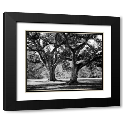 Oak Grove I Black Modern Wood Framed Art Print with Double Matting by Maihara/Watt, Jeff/Boyce