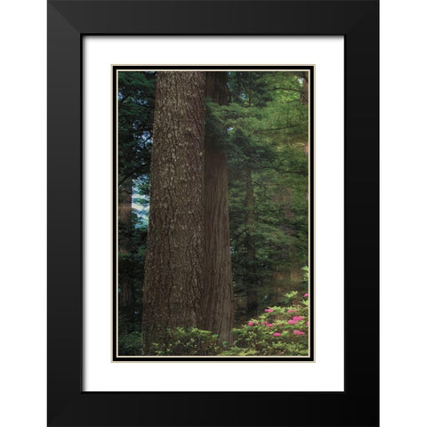 Rise n Shine I Black Modern Wood Framed Art Print with Double Matting by Frates, Dennis