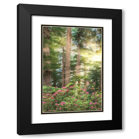 Rise n Shine II Black Modern Wood Framed Art Print with Double Matting by Frates, Dennis