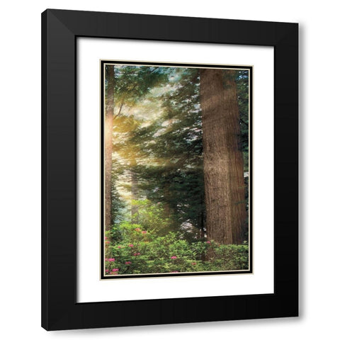 Rise n Shine III Black Modern Wood Framed Art Print with Double Matting by Frates, Dennis