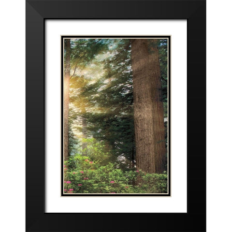 Rise n Shine III Black Modern Wood Framed Art Print with Double Matting by Frates, Dennis