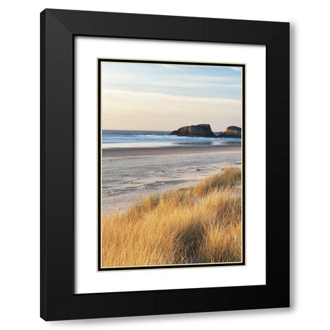 Dune Grass and Beach I Black Modern Wood Framed Art Print with Double Matting by Frates, Dennis