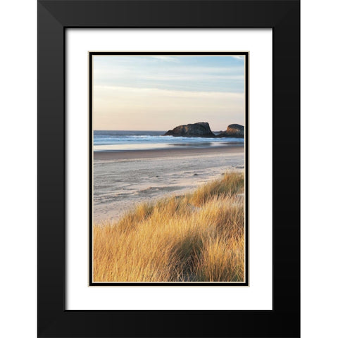 Dune Grass and Beach I Black Modern Wood Framed Art Print with Double Matting by Frates, Dennis