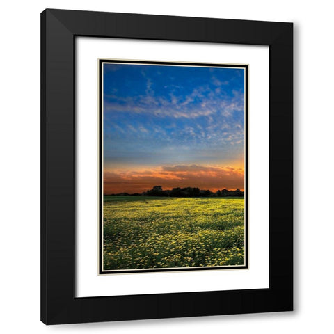 Shadows at Sunset I Black Modern Wood Framed Art Print with Double Matting by Celebrate Life Gallery