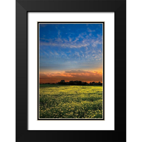 Shadows at Sunset I Black Modern Wood Framed Art Print with Double Matting by Celebrate Life Gallery