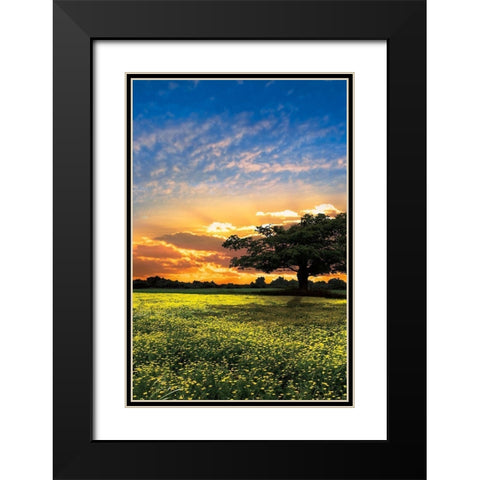 Shadows at Sunset II Black Modern Wood Framed Art Print with Double Matting by Celebrate Life Gallery