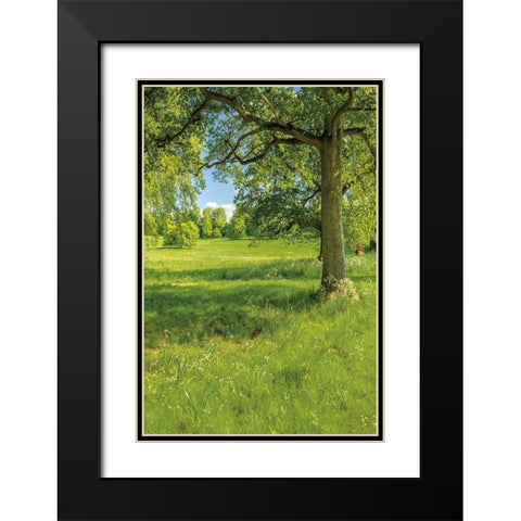 Greenest Pastures I Black Modern Wood Framed Art Print with Double Matting by Frank, Assaf