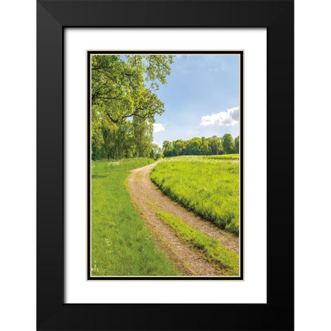 Greenest Pastures II Black Modern Wood Framed Art Print with Double Matting by Frank, Assaf