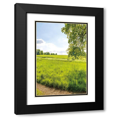 Greenest Pastures III Black Modern Wood Framed Art Print with Double Matting by Frank, Assaf