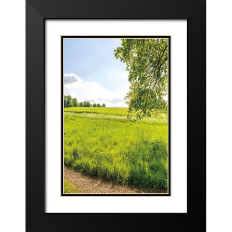 Greenest Pastures III Black Modern Wood Framed Art Print with Double Matting by Frank, Assaf