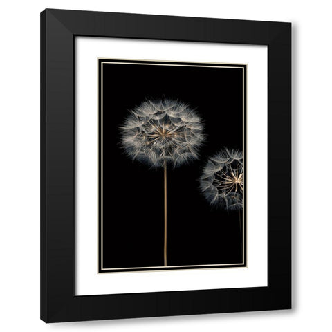 Make A Wish I Black Modern Wood Framed Art Print with Double Matting by Frank, Assaf