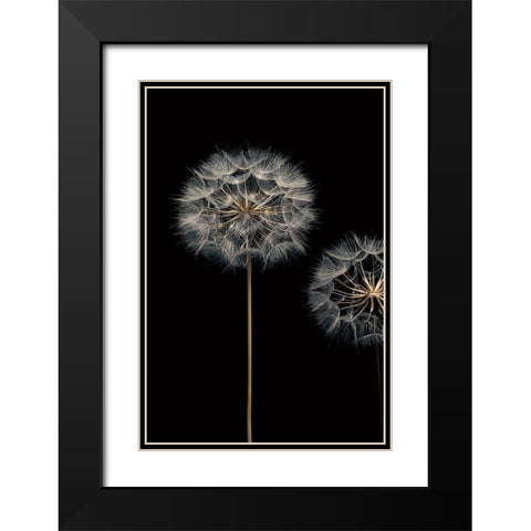 Make A Wish I Black Modern Wood Framed Art Print with Double Matting by Frank, Assaf
