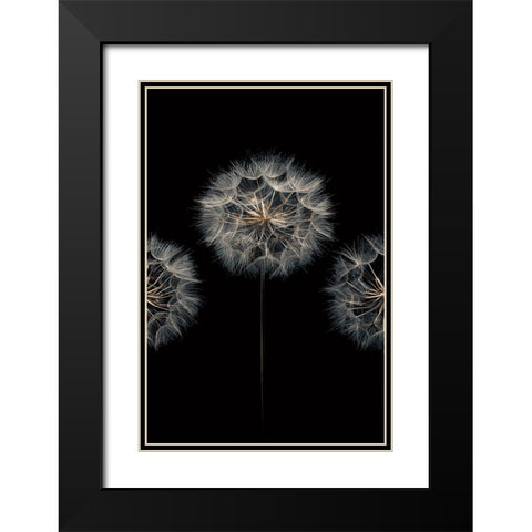 Make A Wish II Black Modern Wood Framed Art Print with Double Matting by Frank, Assaf