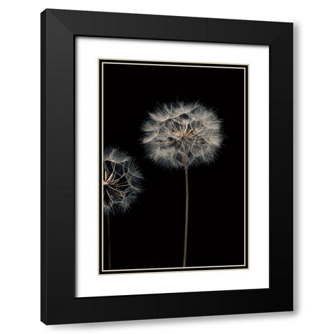 Make A Wish III Black Modern Wood Framed Art Print with Double Matting by Frank, Assaf