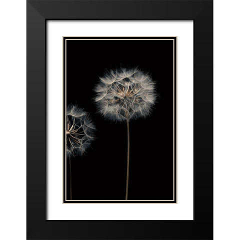 Make A Wish III Black Modern Wood Framed Art Print with Double Matting by Frank, Assaf
