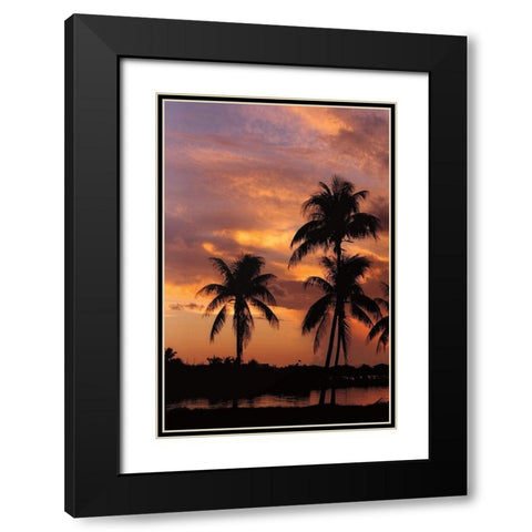 Tropical Sunsets A Black Modern Wood Framed Art Print with Double Matting by Jones, Mike