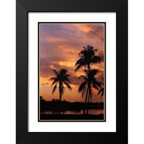 Tropical Sunsets A Black Modern Wood Framed Art Print with Double Matting by Jones, Mike