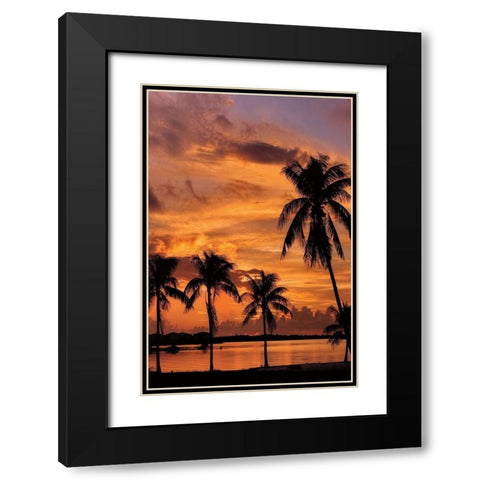 Tropical Sunsets B Black Modern Wood Framed Art Print with Double Matting by Jones, Mike