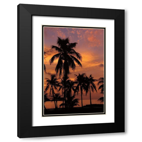 Tropical Sunsets C Black Modern Wood Framed Art Print with Double Matting by Jones, Mike