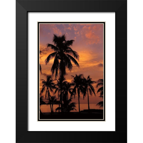 Tropical Sunsets C Black Modern Wood Framed Art Print with Double Matting by Jones, Mike