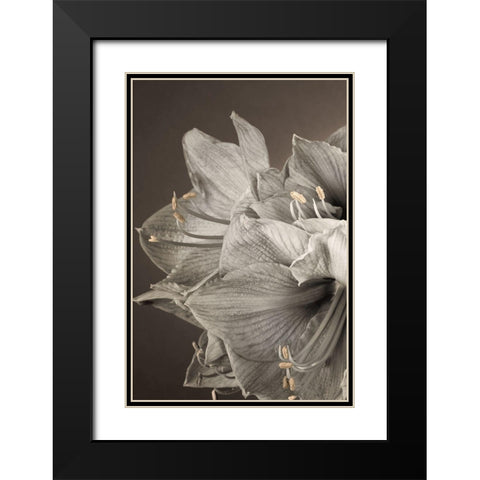Grand Floral I Black Modern Wood Framed Art Print with Double Matting by Frank, Assaf