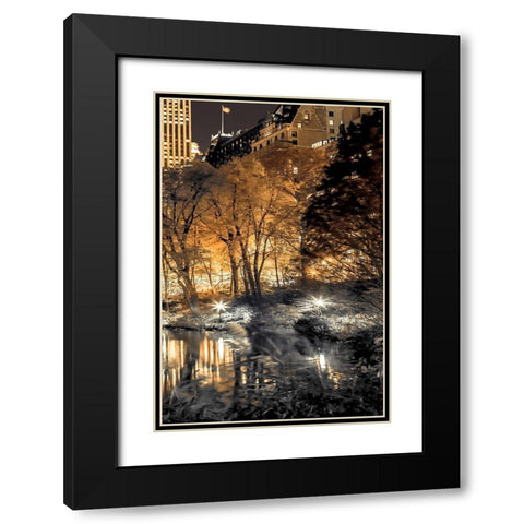 Central Park Glow III Black Modern Wood Framed Art Print with Double Matting by Frank, Assaf