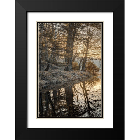 Frosty Morning I Black Modern Wood Framed Art Print with Double Matting by Frank, Assaf