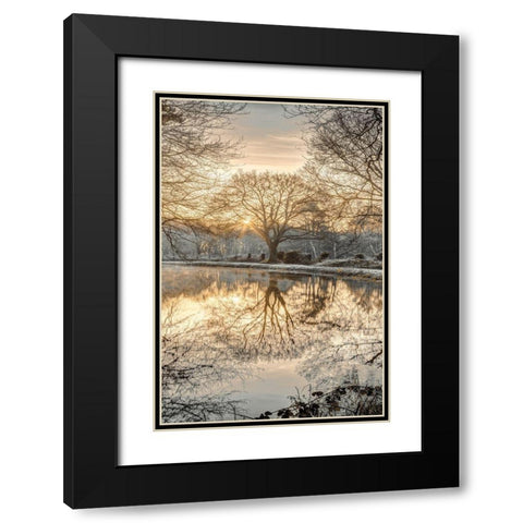 Frosty Morning II Black Modern Wood Framed Art Print with Double Matting by Frank, Assaf
