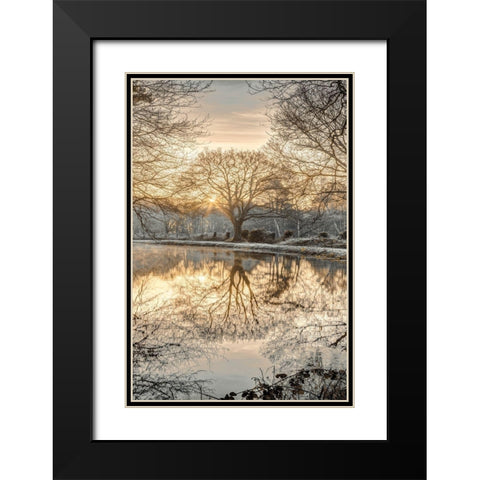 Frosty Morning II Black Modern Wood Framed Art Print with Double Matting by Frank, Assaf