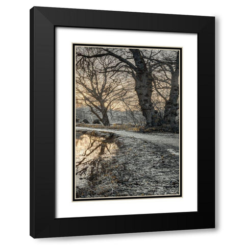 Frosty Morning III Black Modern Wood Framed Art Print with Double Matting by Frank, Assaf