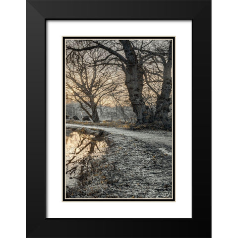 Frosty Morning III Black Modern Wood Framed Art Print with Double Matting by Frank, Assaf