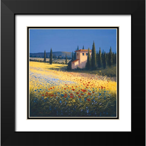 Summer Villa Black Modern Wood Framed Art Print with Double Matting by Short, David