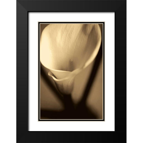 Divinity Black Modern Wood Framed Art Print with Double Matting by Ryan, Cinzia