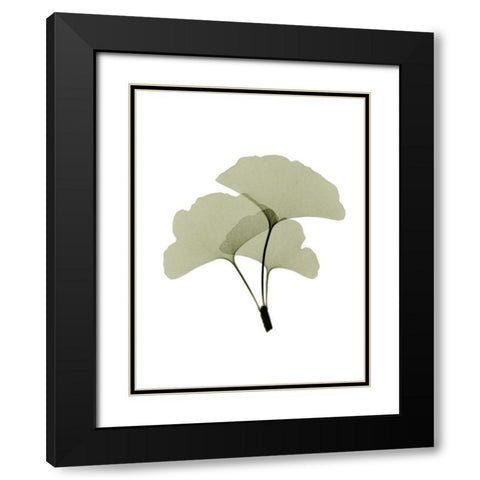 Ginko I Black Modern Wood Framed Art Print with Double Matting by ACEE