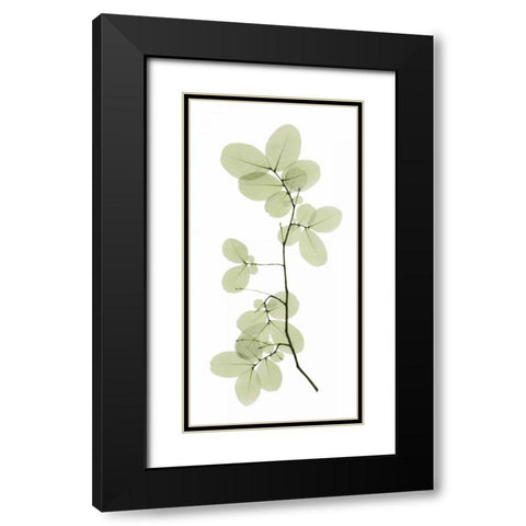 Myrtle Tree Black Modern Wood Framed Art Print with Double Matting by ACEE