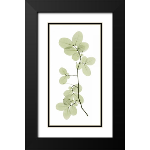 Myrtle Tree Black Modern Wood Framed Art Print with Double Matting by ACEE