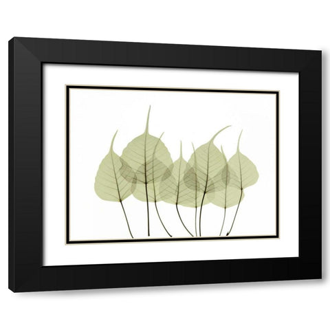 Woodlands I Black Modern Wood Framed Art Print with Double Matting by ACEE