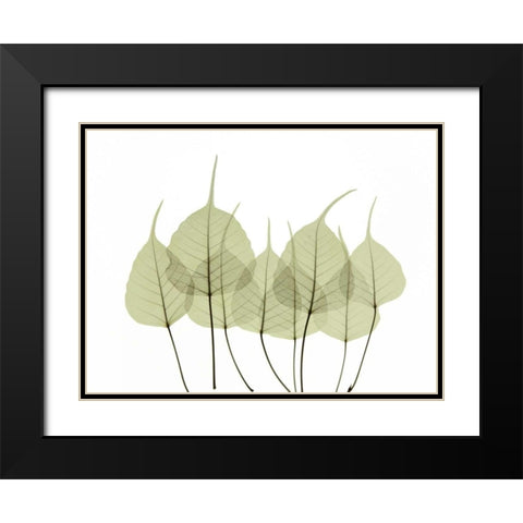 Woodlands I Black Modern Wood Framed Art Print with Double Matting by ACEE