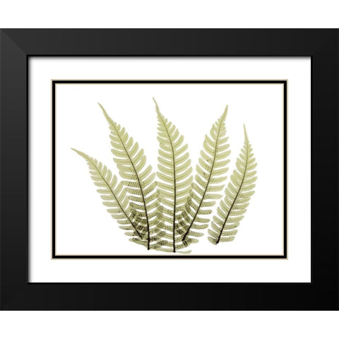 Woodlands II Black Modern Wood Framed Art Print with Double Matting by ACEE
